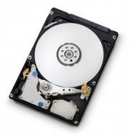 Hitachi 7K500 320GB (HTS725032A9A364)